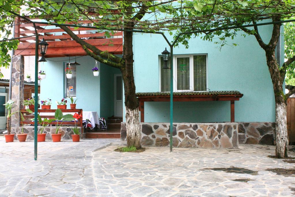 Busta House Hotel Bogdan Vodă Exterior foto